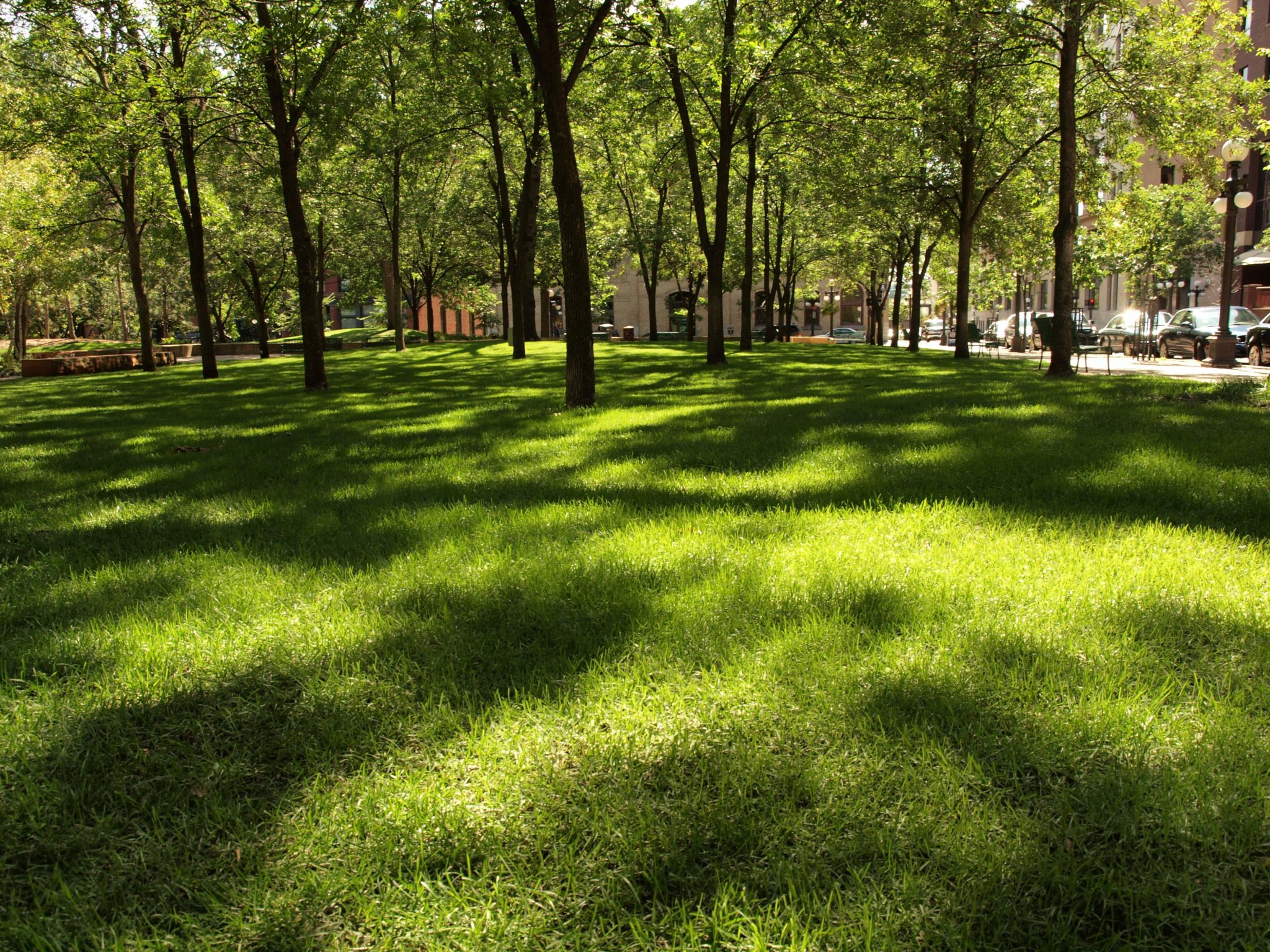 Twin Cities Maze: Brooklyn Park