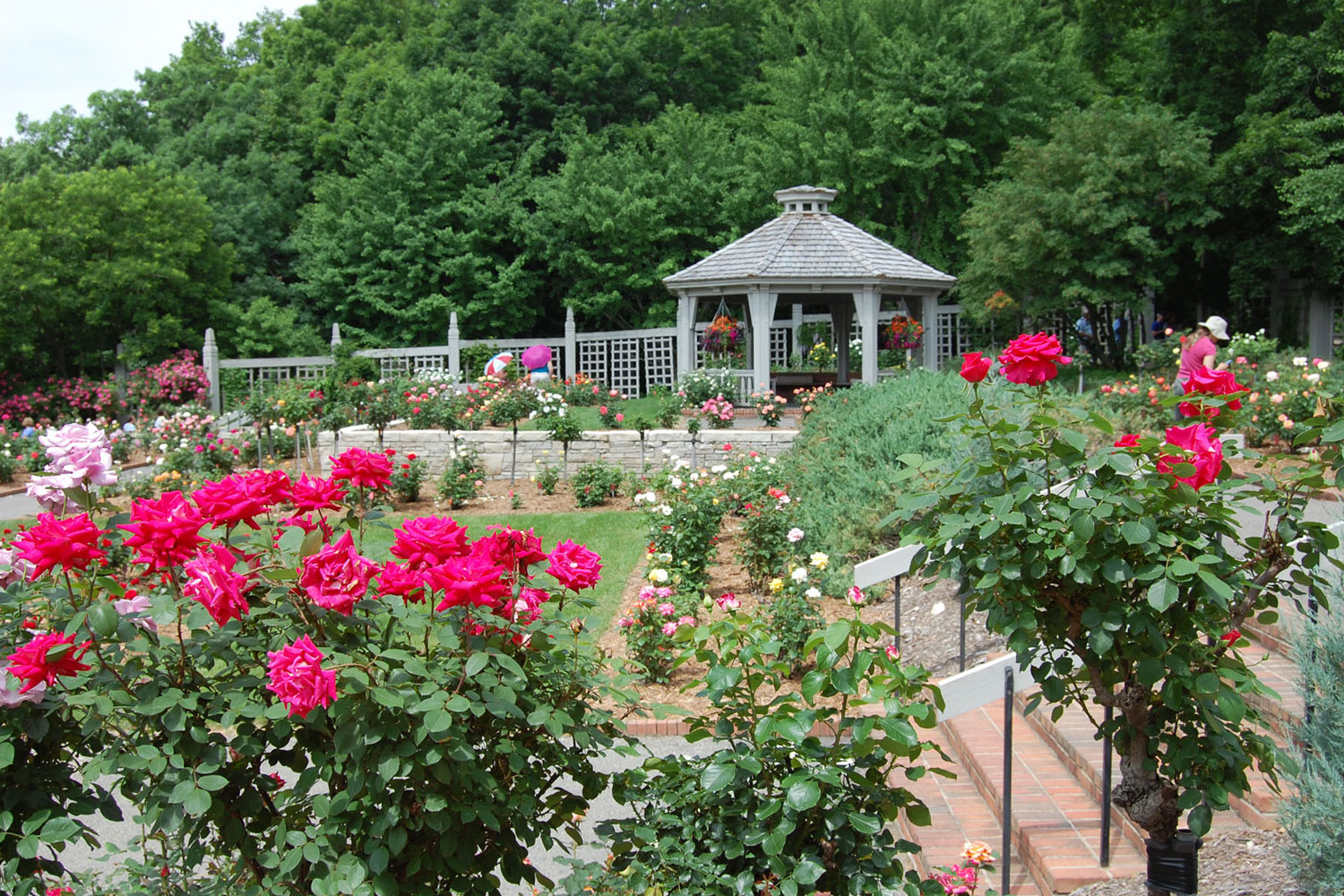 At-Home Gardening  Minnesota Landscape Arboretum