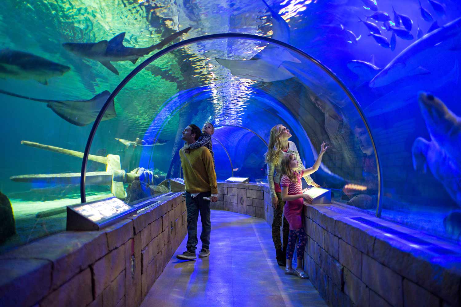 SEA LIFE Minnesota Aquarium at the Mall of America